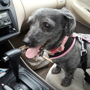 Meet your Posher, Tammy